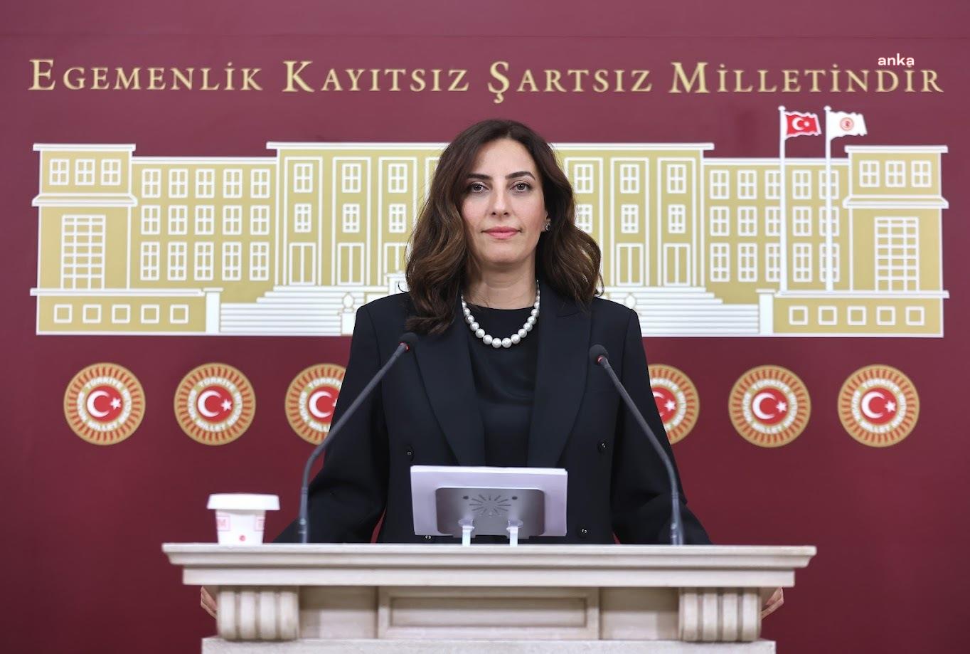 Zeytinlikleri madencilik faaliyetine açacak teklif komisyonda... Evrim Rızvanoğlu: Türkiye'yi parsel parsel ruhsatlama teklifidir bu