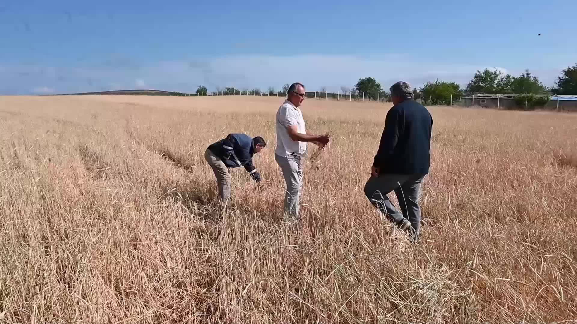Yozgat’ta hasat için hazır olan ekili alanları dolu vurdu