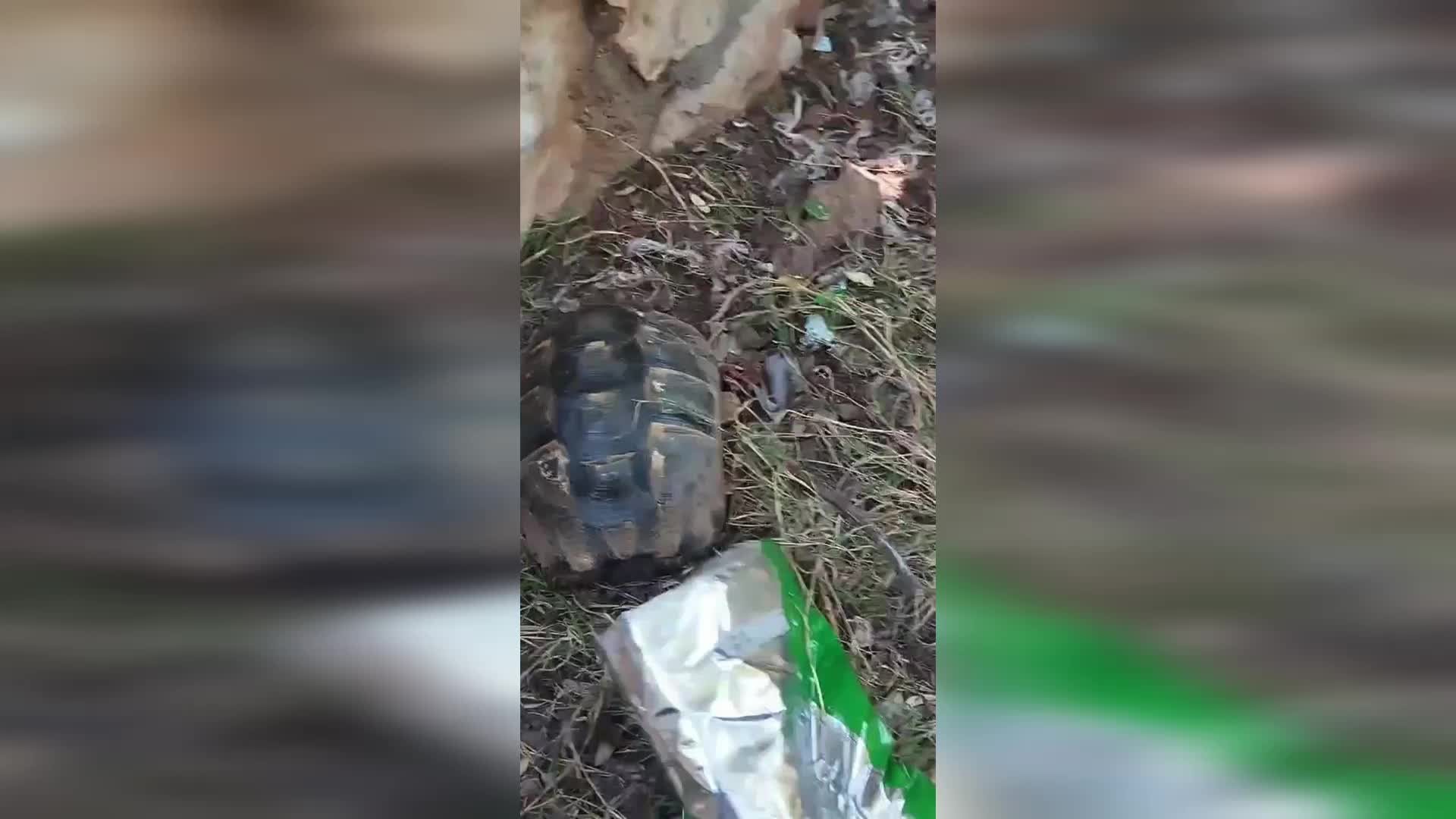 Marmaris Belediyesi ekipleri, doğaya atılan atık nedeniyle tehlike altındaki kaplumbağayı kurtardı