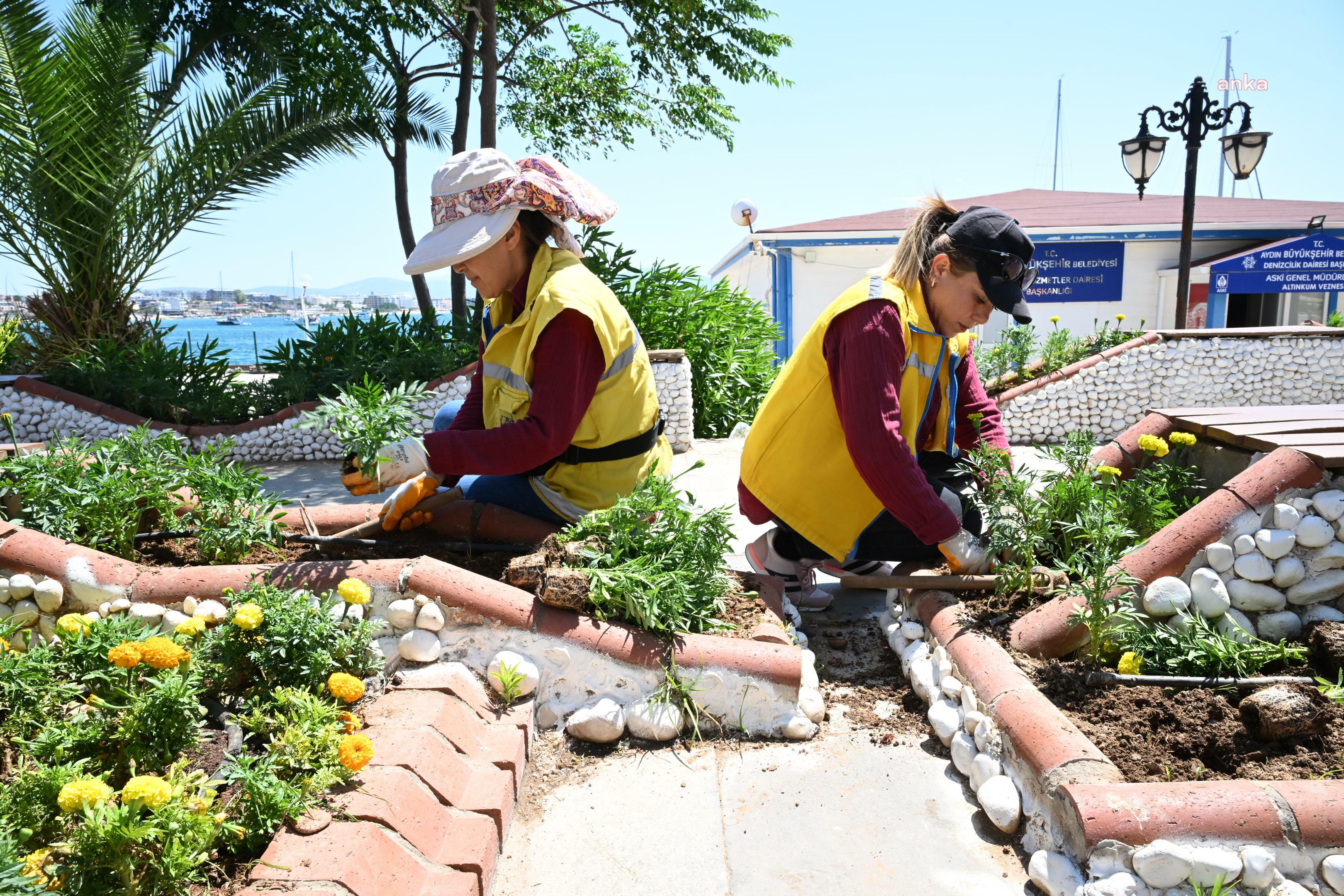 Aydın Büyükşehir Belediyesi'nden Didim’de çevre düzenlemesi