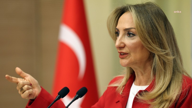 CHP’li Aylin Nazlıaka, tutuklu Elif Atayman’ın oğlunun cezaevinde annesiyle görüştürülmemesine tepki gösterdi