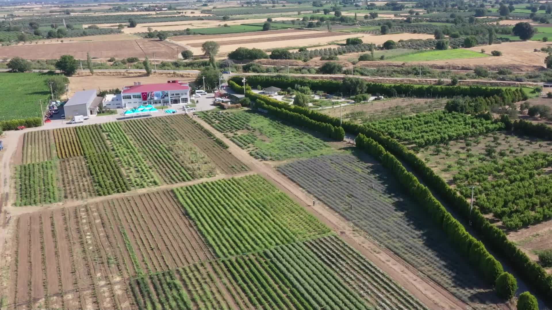 “Uluslararası 6. Balıkesir Aromaterapi Festivali” bu yıl uluslararası boyut kazanıyor