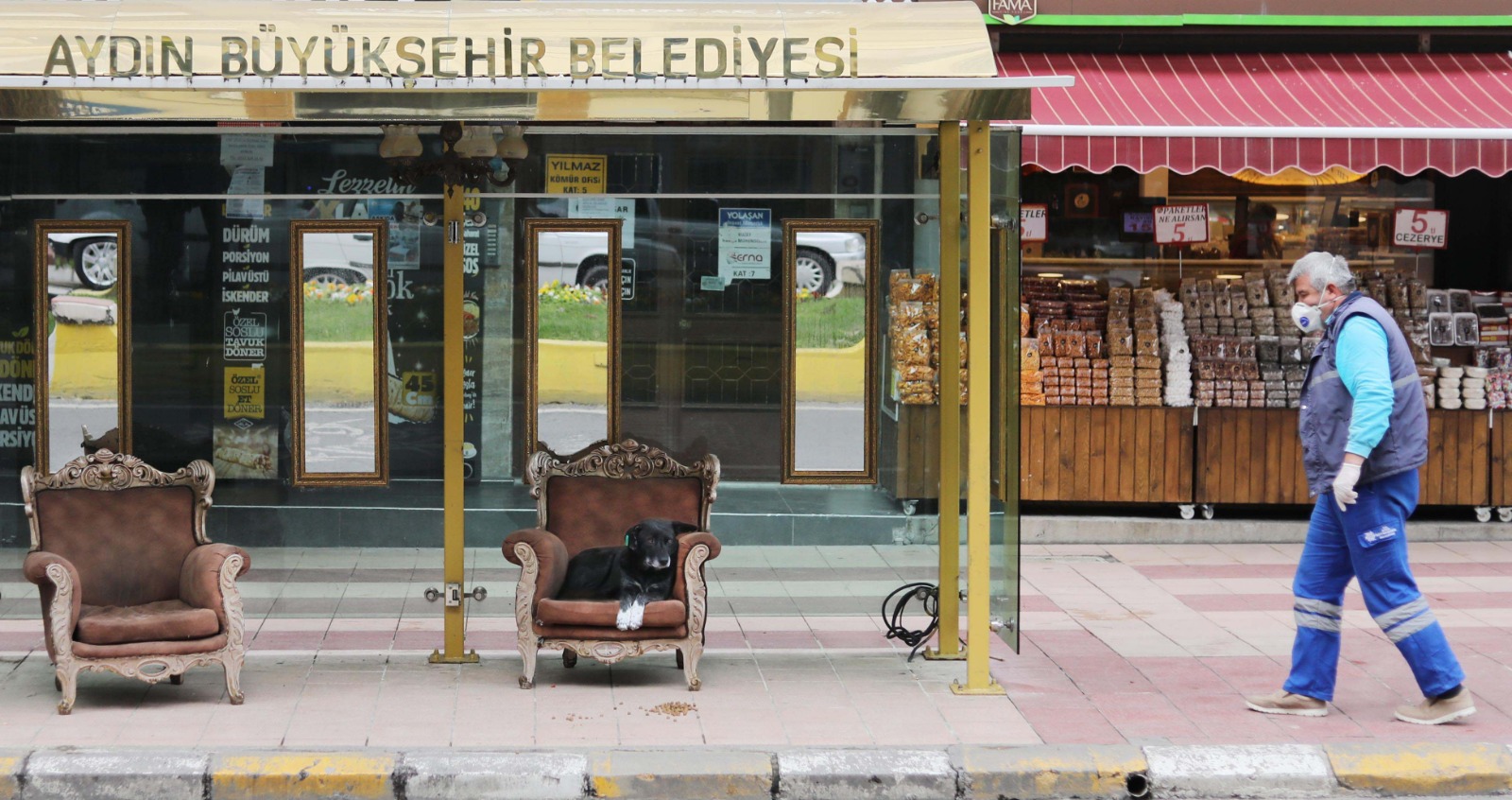 DURAKTAKİ KOLTUĞU KENDİSİNE YUVA YAPTI