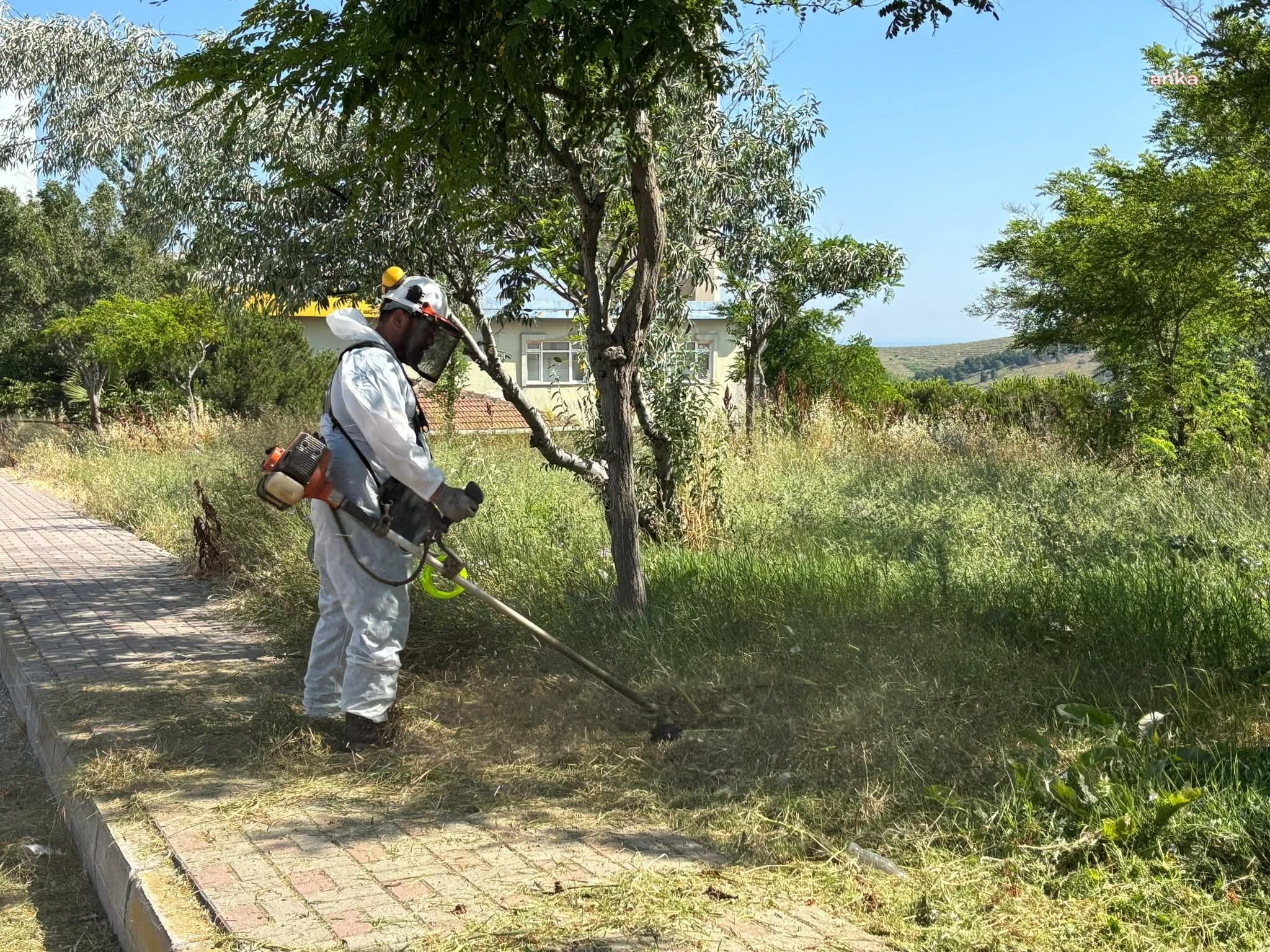 Bandırma’da çevre düzenleme ve halk sağlığı çalışmaları hız kazandı