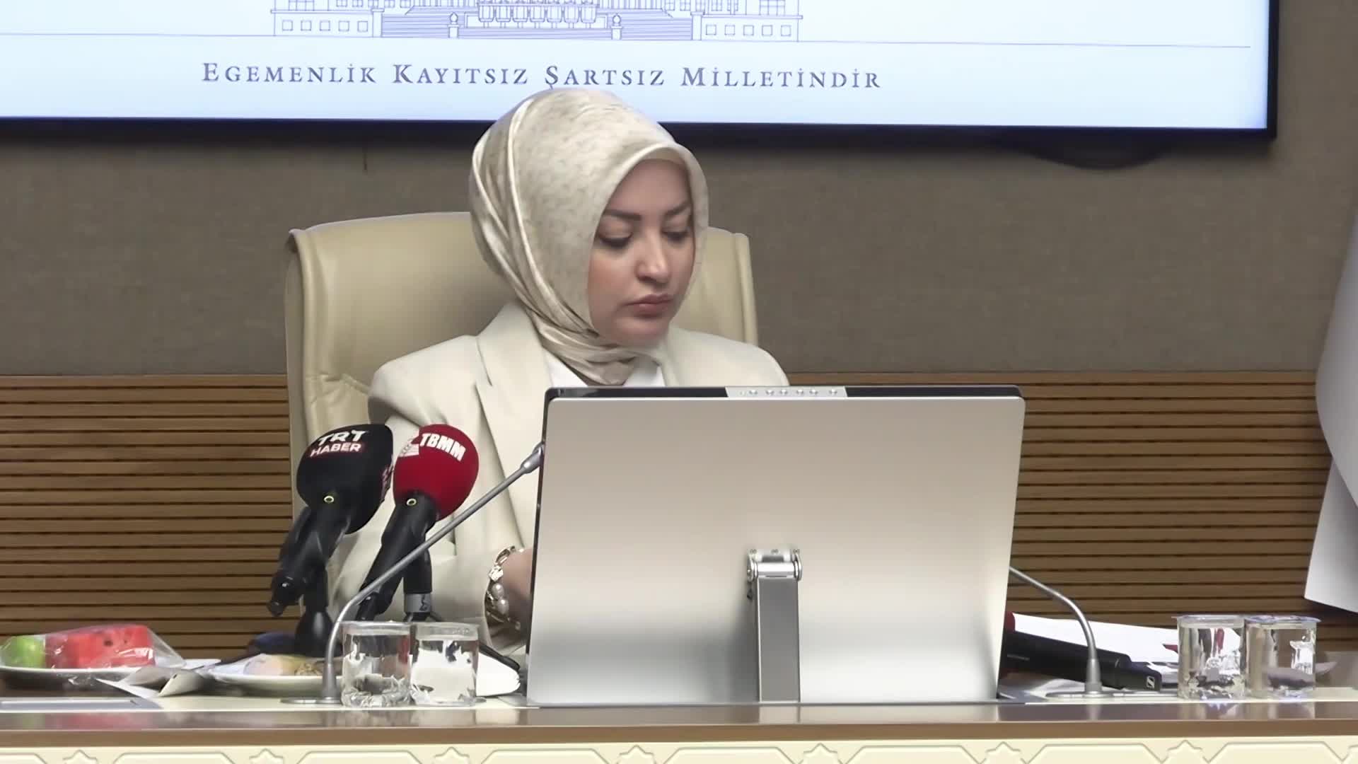 TBMM Kadın Erkek Fırsat Eşitliği Komisyonu'nda yeni dönem için yol haritası değerlendirildi, CHP'li Taşcıer kadına yönelik dijital şiddetin araştırılmasını önerdi