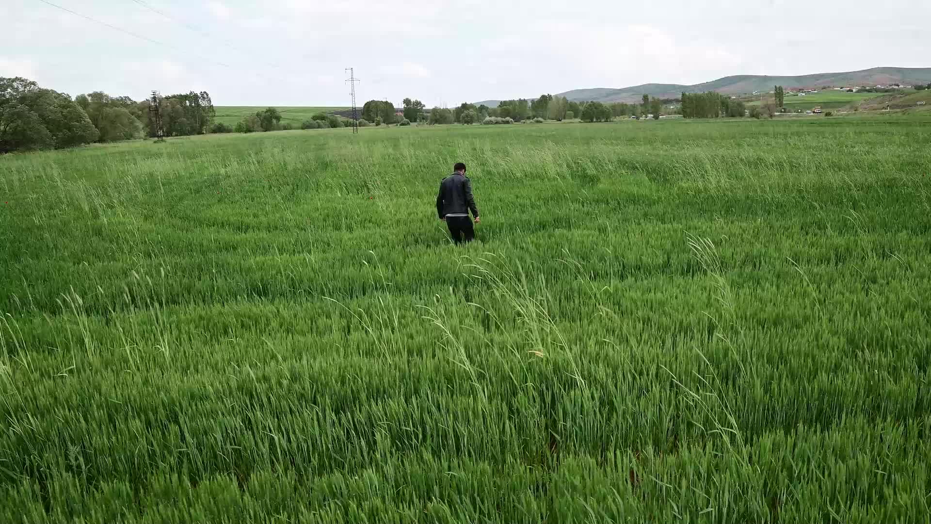 İklim değişikliği Yozgat’ta zirai bitkilerde hastalığa neden oldu