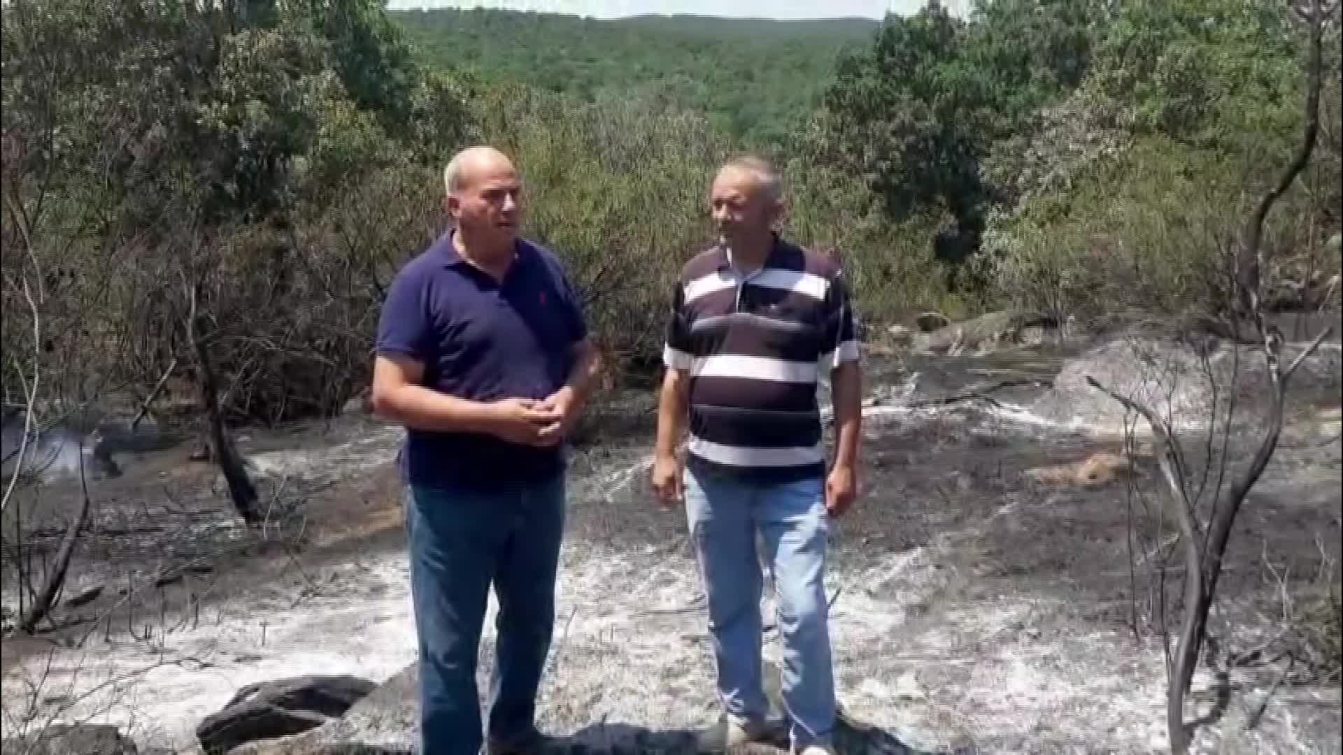 Ormanları yanan Edirne'nin Lalapaşa ilçesi Ömeroba köyü halkı: “Köye 5 tonluk yangın söndürme tankeri verilmesi gerekiyor”