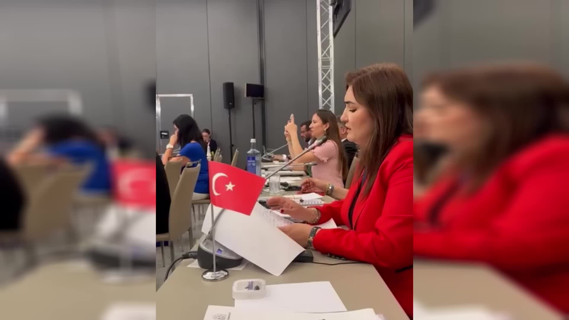 CHP'li Kılıç'tan AİBPA’da Güney Kıbrıs'a “işgalci” tepkisi: Bu ifadeleri en güçlü şekilde reddediyoruz