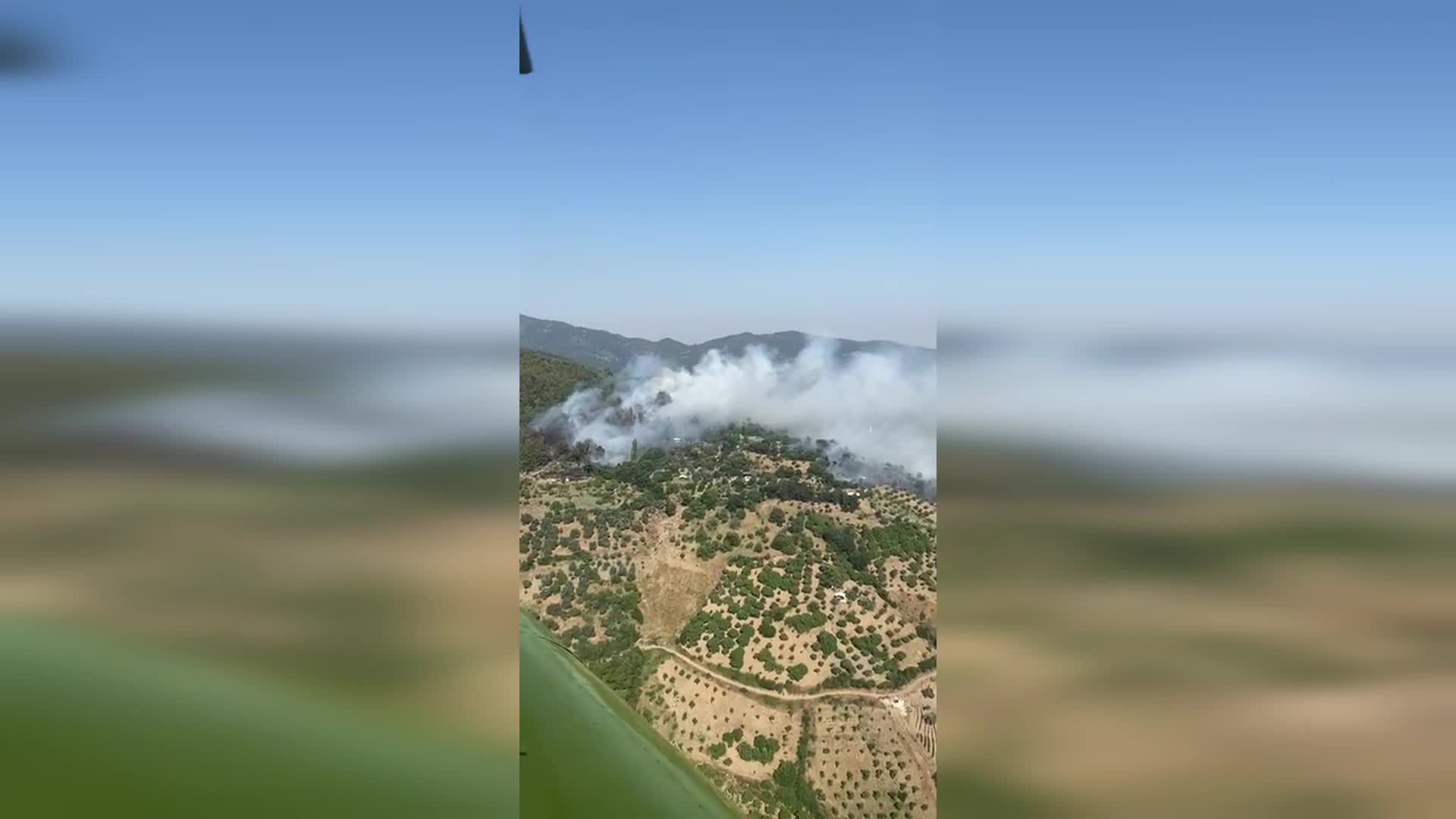 Aydın’da orman yangını: Efeler ve Bozdoğan’da alevlere havadan ve karadan müdahale