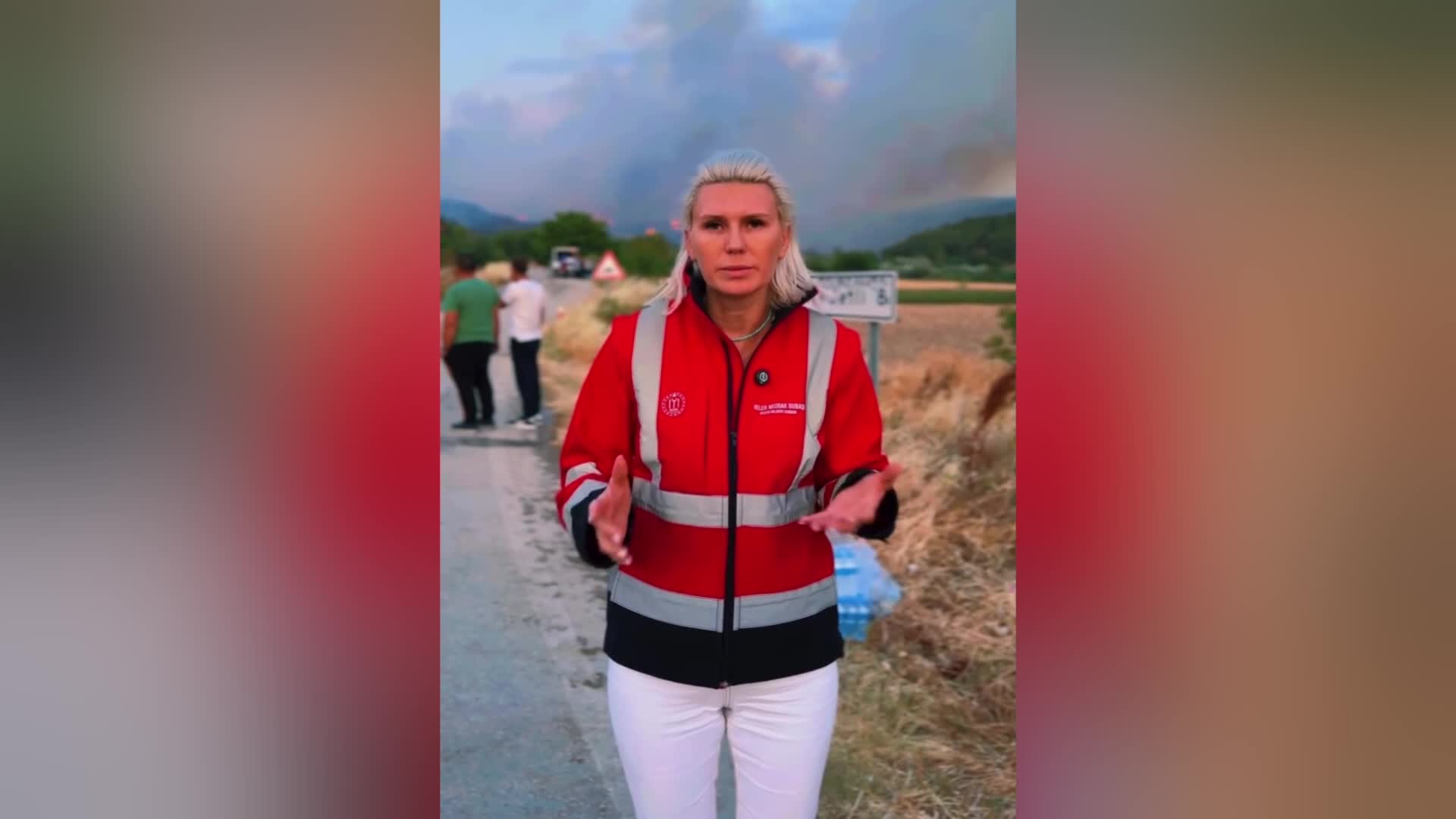 Bilecik'te yangın devam ediyor... Başkan Subaşı: "Çok acil hava araçlarına ihtiyacımız var"