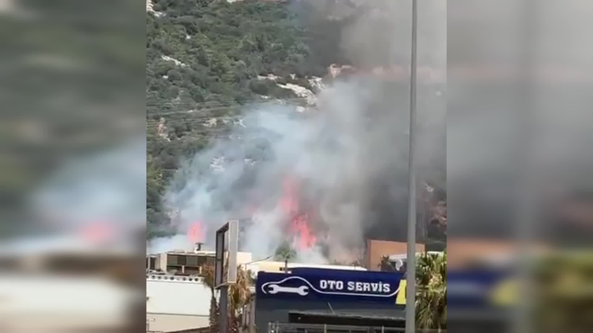 Bodrum'da makilik alanda yangın çıktı