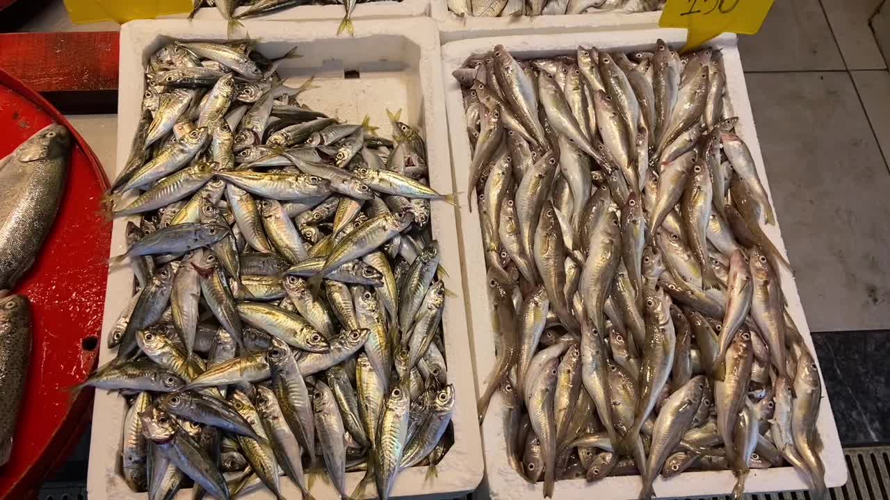 Trabzon'da yaz ayında tezgahlarda balık bolluğu yaşanıyor