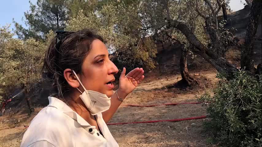 Hatay Dikmece’de zeytinliği yanan Meryem Kutlu: “Yeni proje olduğu söylendi, sonra yangın çıktı"