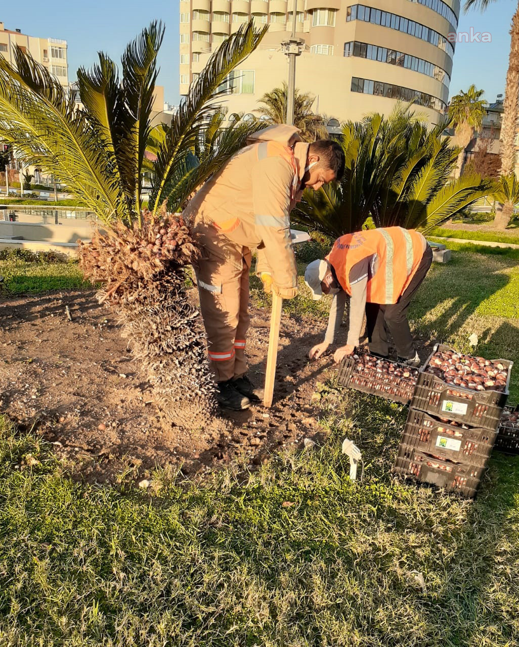 ANTALYA BÜYÜKŞEHİR, DAHA YEŞİL BİR KENT İÇİN ÇALIŞIYOR