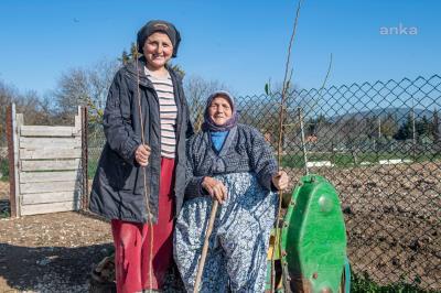 İZMİR BÜYÜKŞEHİR'DEN 2020'DE ÜRETİCİYE 363 BİN MEYVE FİDANI
