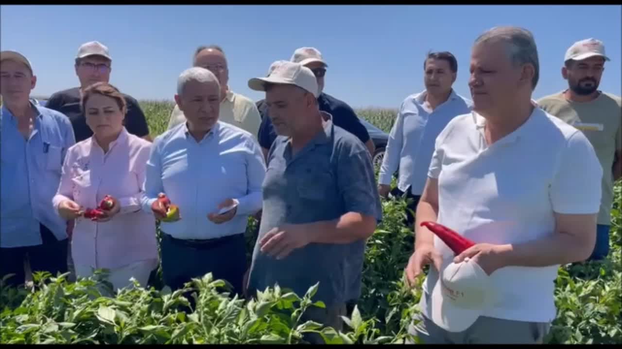 CHP'li vekiller Çukurova'da çiftçilerin sorunlarını dinledi: "Kendi ülkemizde sahipsiz ve yetim kaldık"