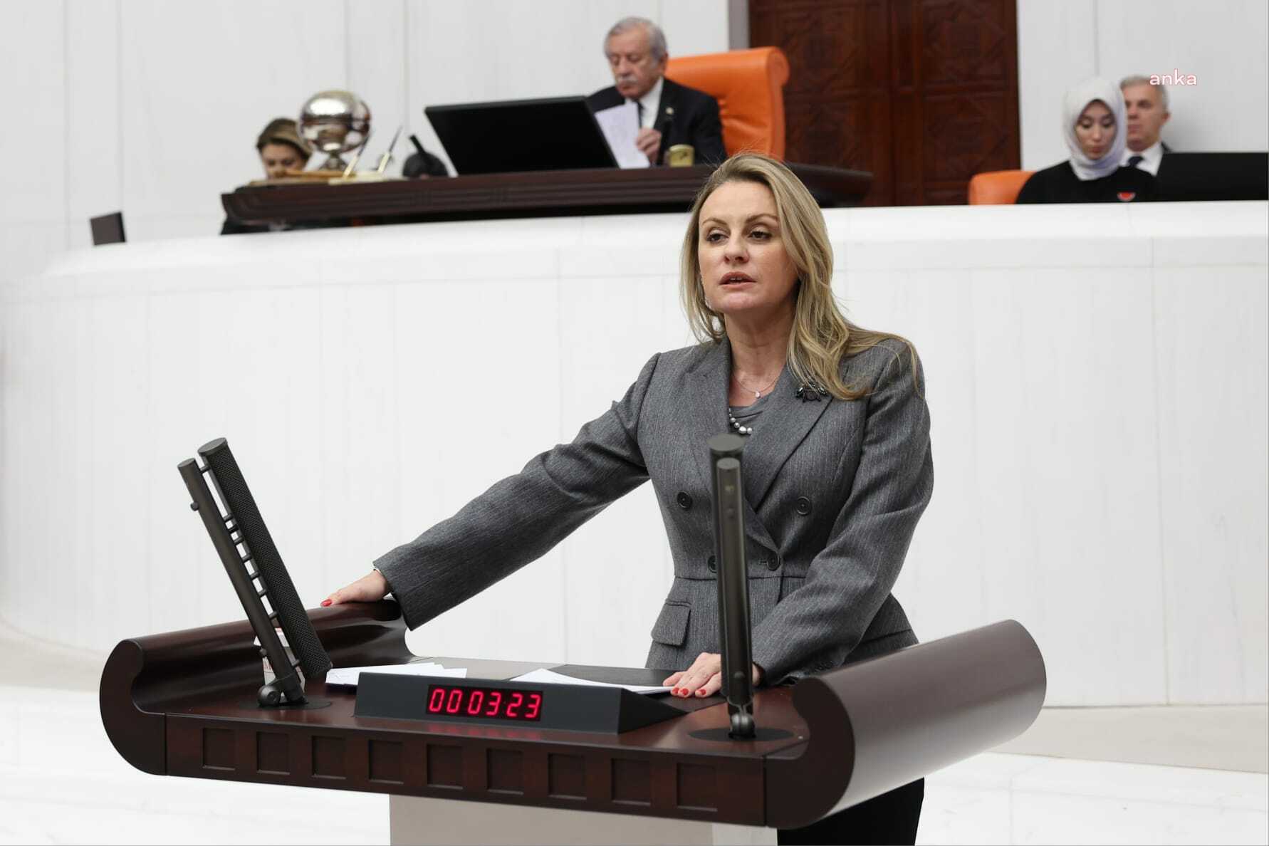 CHP İzmir Milletvekili Ösen, İzmir'deki orman yangınlarını TBMM gündemine taşıdı
