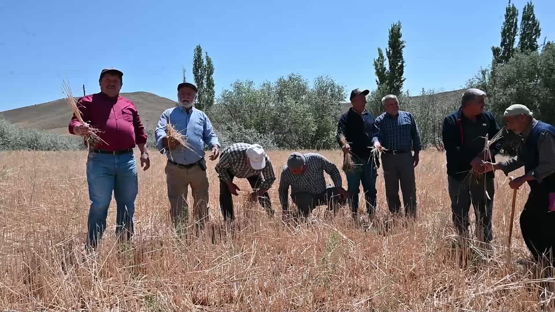 Yozgat’ta tarım alanları doludan zarar gören çiftçiler destek bekliyor