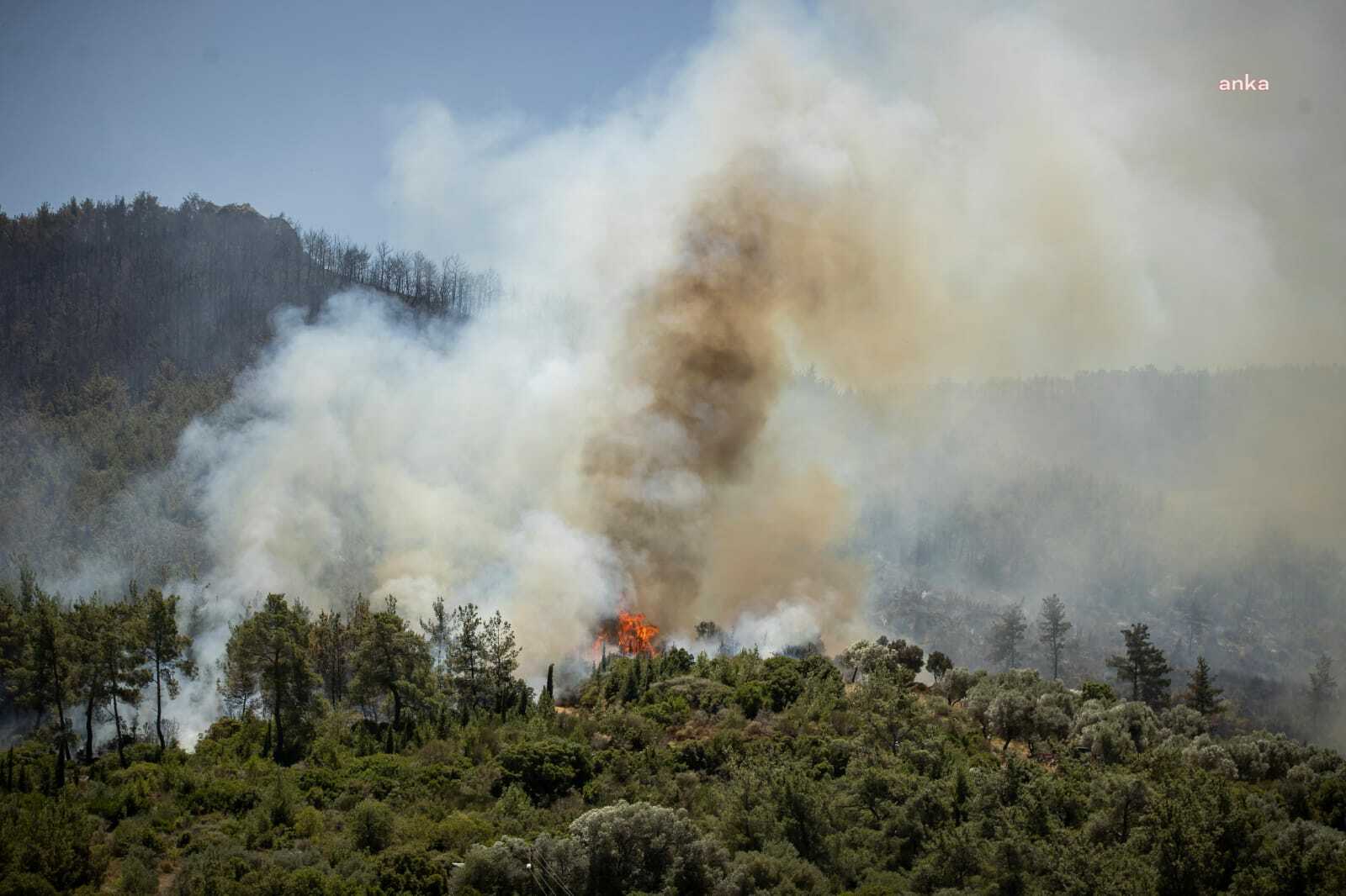 GDZ Elektrik'ten İzmir'deki orman yangınlarına ilişkin açıklama: Elektrik hatlarından kaynaklandığına dair bulgu yok