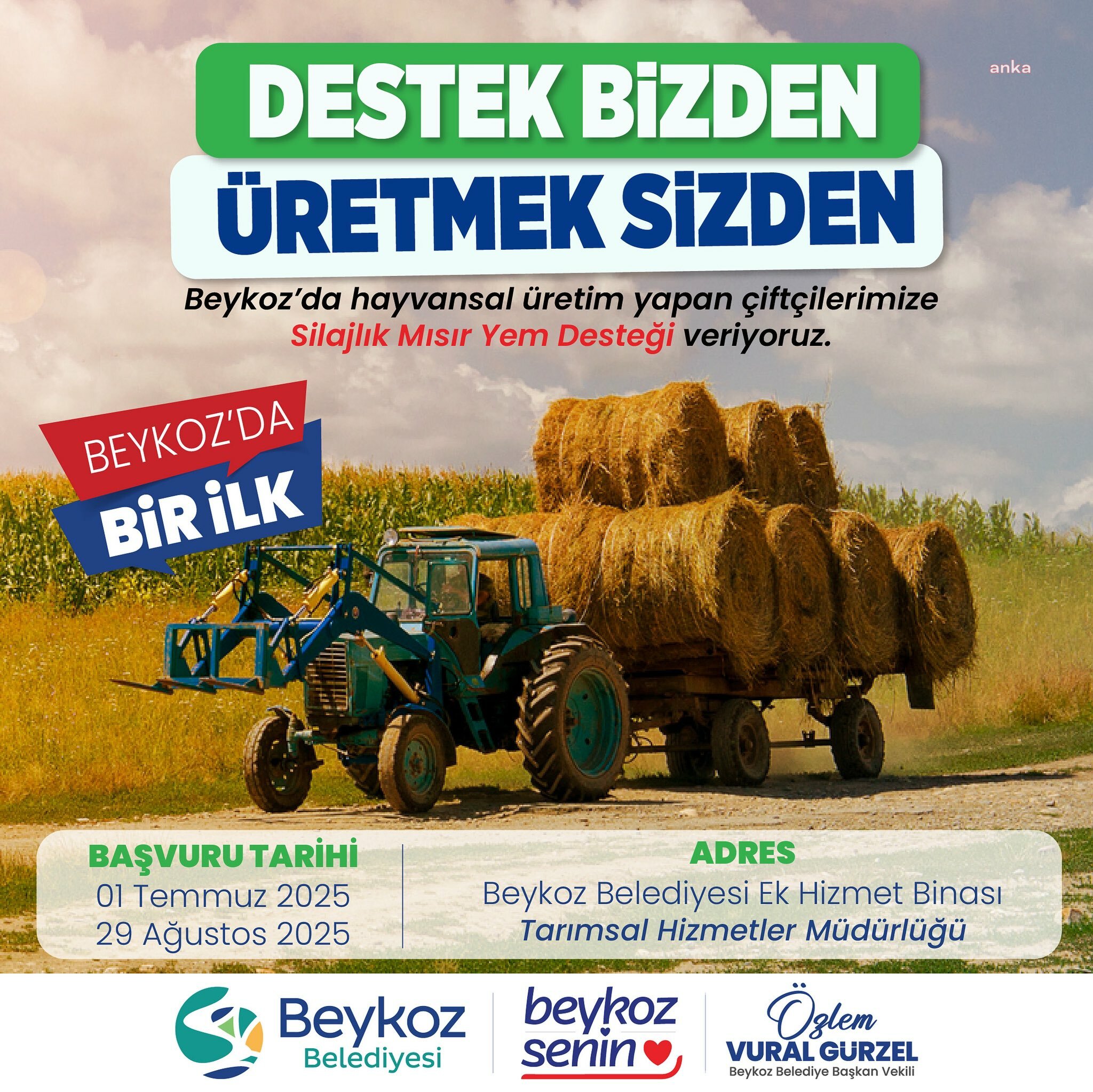 Beykoz’da üretilen silajlık mısır, değerinde alım ile yerli hayvancılığa destek