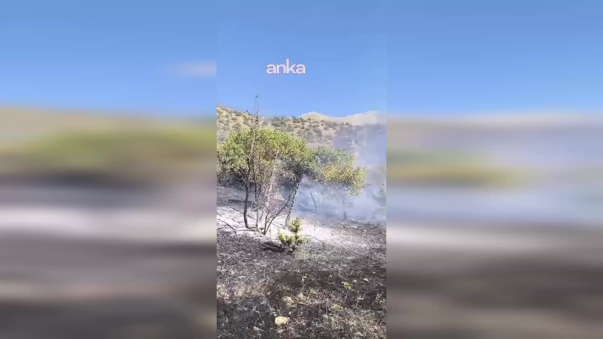 Van’da tarihi ve turistik alanda yangın