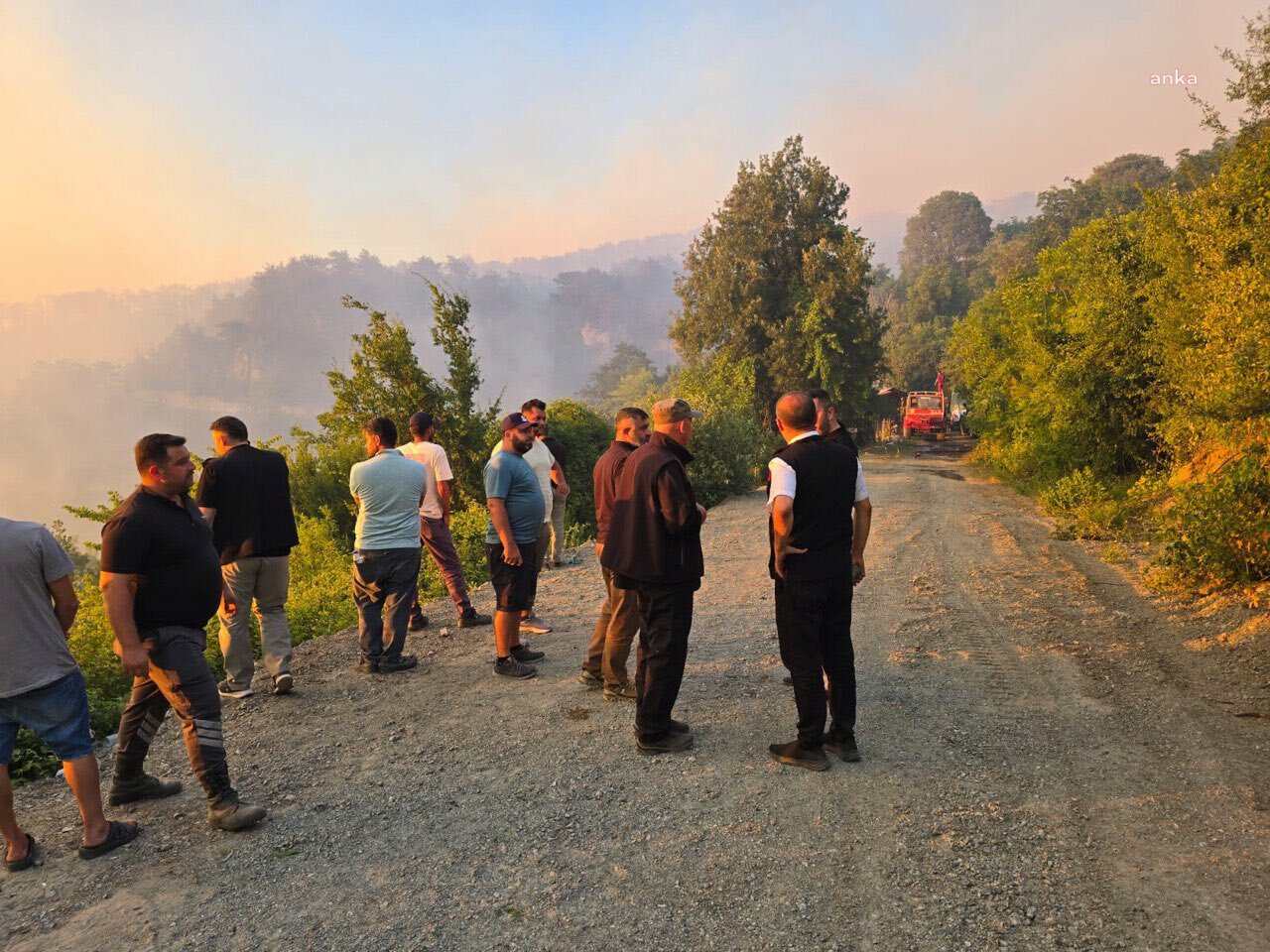 Hatay Dörtyol'da orman yangını nedeniyle 920 hane tahliye edildi