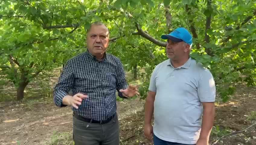CHP'li Aygun, "parafin mum" yakarak ürününü zirai dondan kurtaran çiftçiyi örnek gösterdi