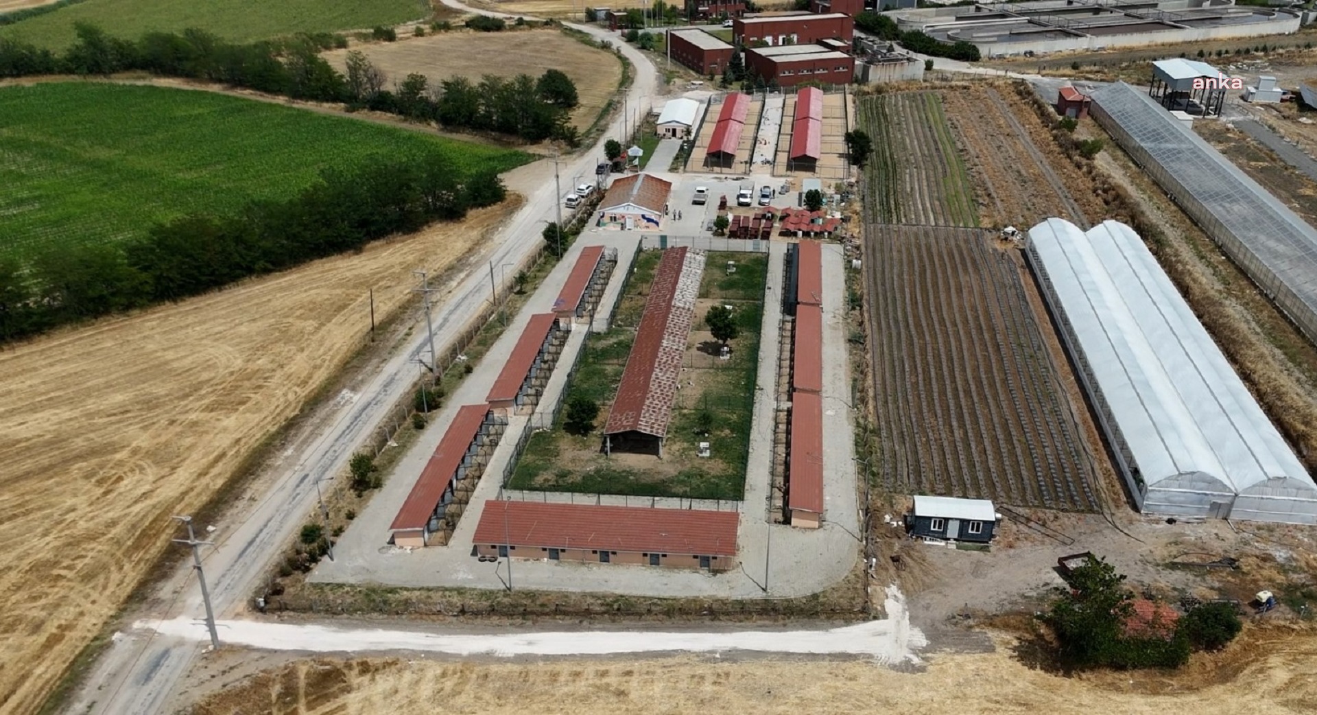 Lüleburgaz'da can dostların yaşam alanları genişletiliyor