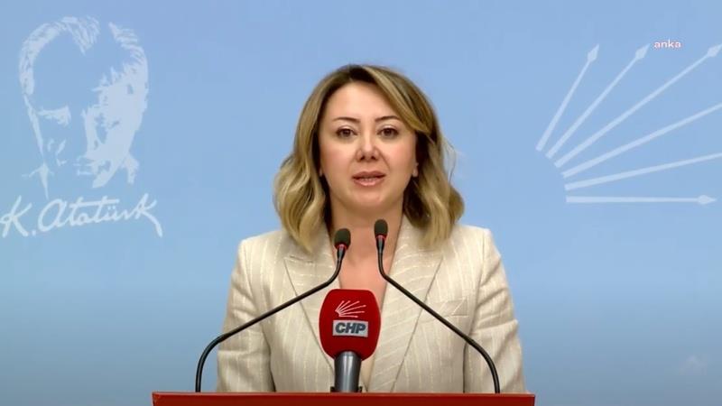 Zeydan Karalar tutuklandı... Gül Çiftci, "Vesayet düzenine boyun eğmeyeceğiz"