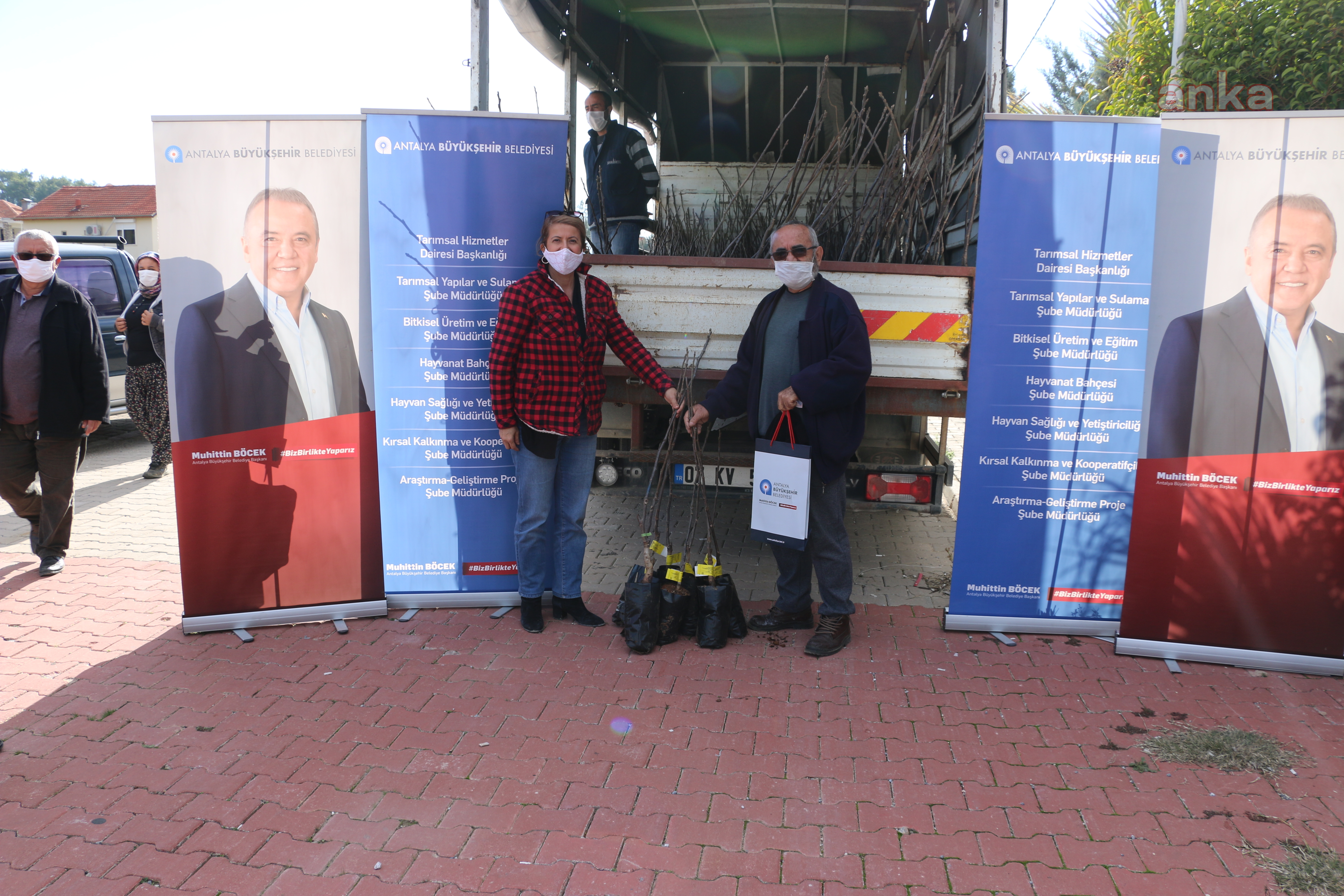 ANTALYA BÜYÜKŞEHİR BELEDİYESİ, 4 İLÇEDE ÇİFTÇİLERE 6500 CEVİZ FİDANI DAĞITTI