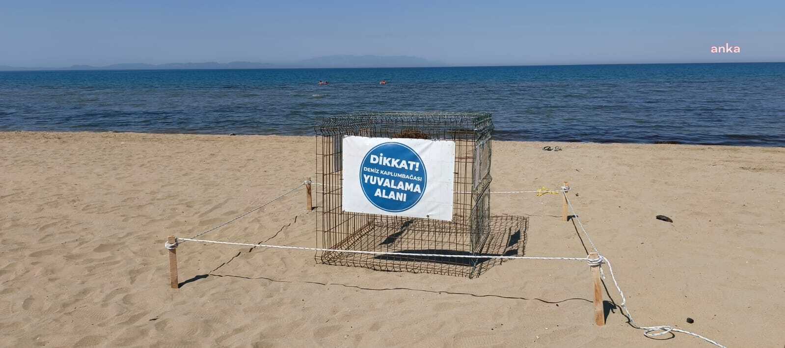 Pamucak Sahili’nde sürpriz misafir