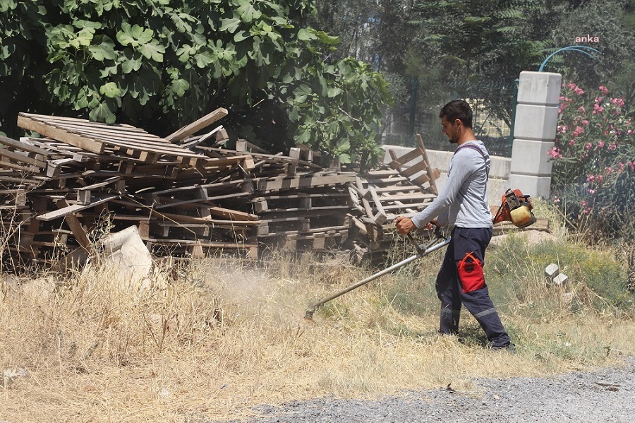 Menderes Belediyesi’nden ot temizliği