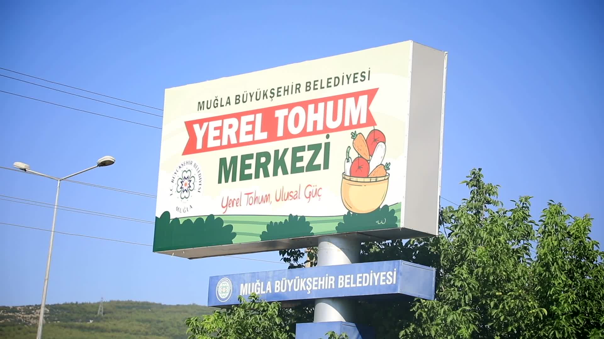 Muğla’da aromatik üretim ekonomiye katkı sağlıyor