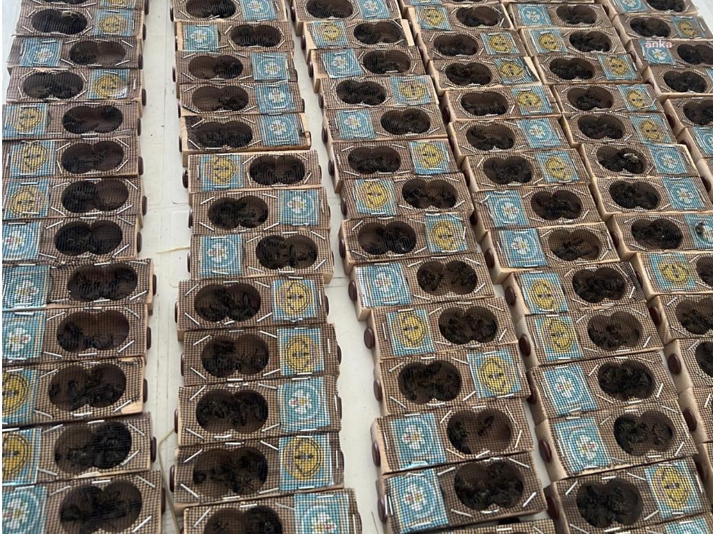 Manisa Büyükşehir Belediyesi’nin arıcılığa desteği sürüyor