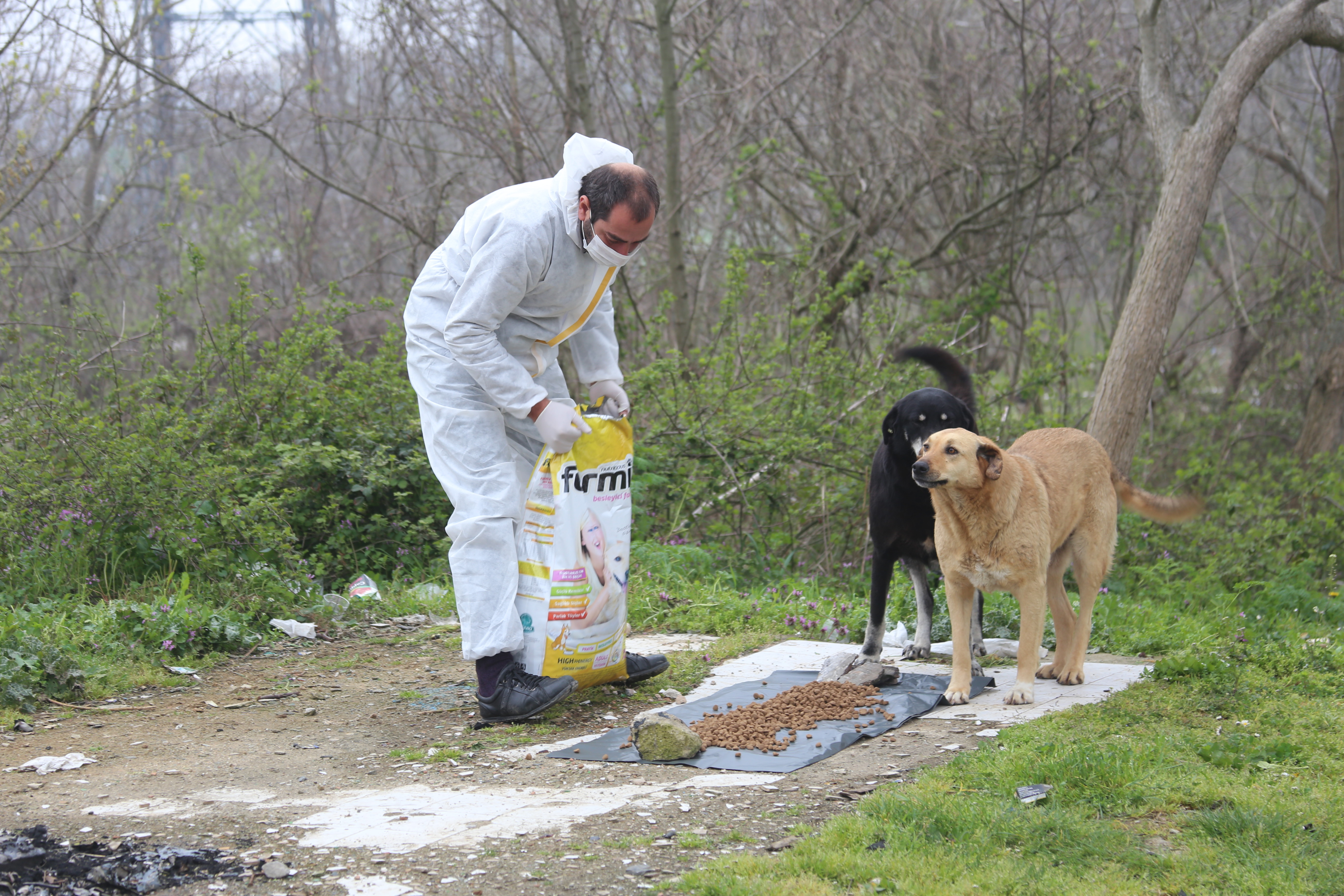 SARIYER'İN CAN DOSTLARI, BELEDİYE'YE EMANET