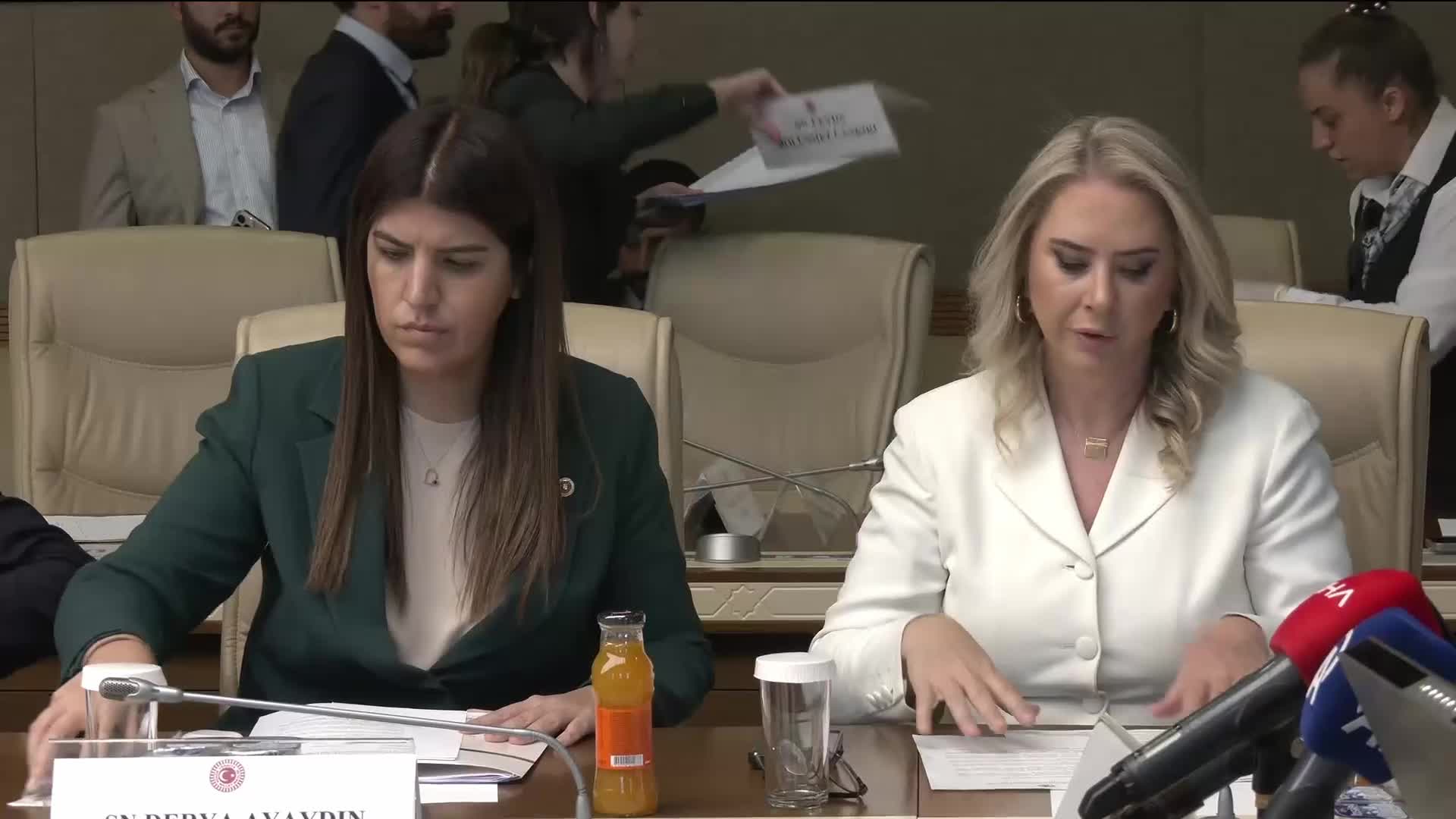 Dışişleri Bakan Yardımcısı Yılmaz, TBMM Dışişleri Komisyonu'nda "Terörsüz Türkiye" sürecine ilişkin kapalı oturumda sunum yapıyor