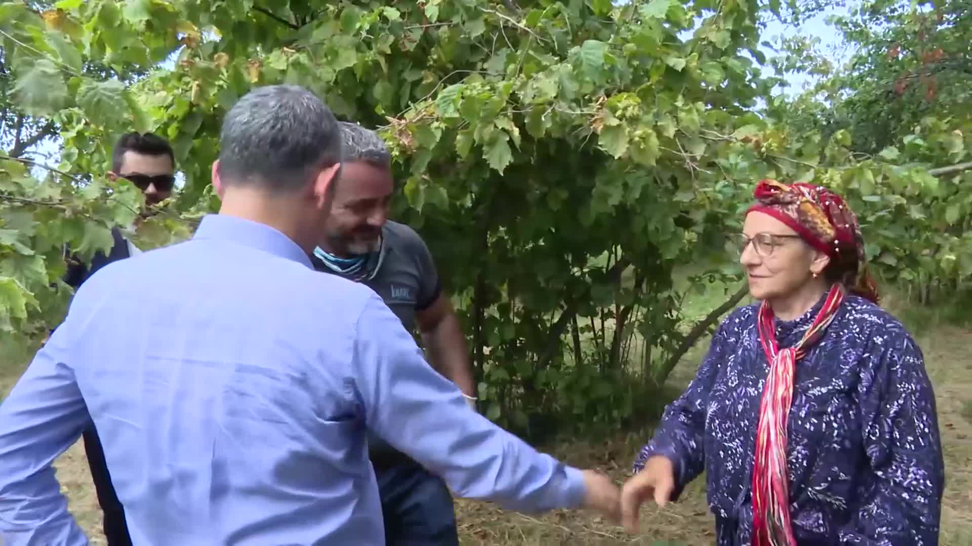 Özgür Özel, fındık bahçesinde üreticilerle sohbet etti... Fındık üreticisi Erdoğan: "İnsanlar artık fındık bahçelerini veya diğer tarım ürünlerini de konutlara terk ediyor"