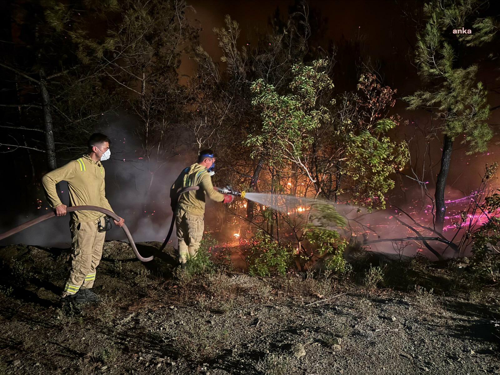 Sakarya'da orman yangını sürüyor... Orman Genel Müdürü Karacabey: “Müdahelemiz, yeni günle birlikte devam ediyor"