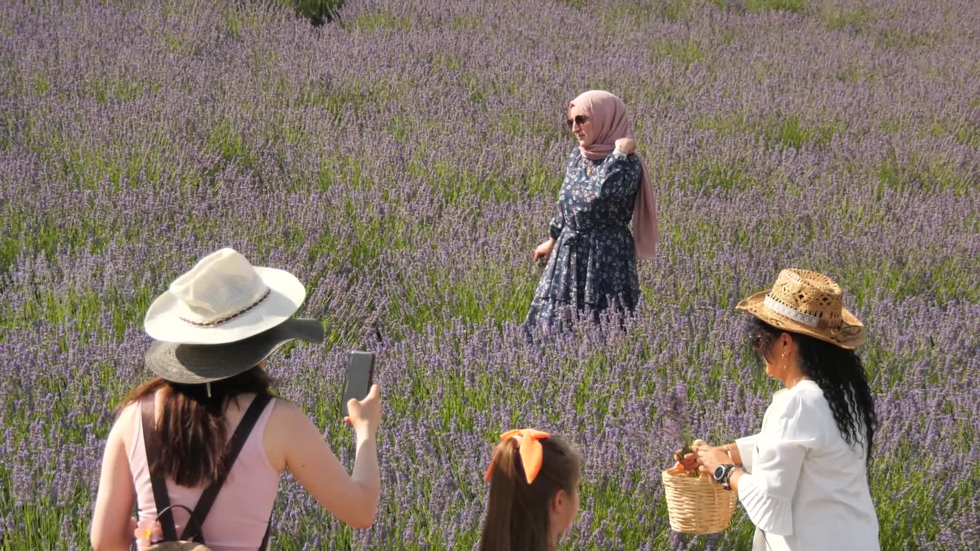 Başkentliler, ABB'nin Lavanta Hasat Şenliği'nde buluştu