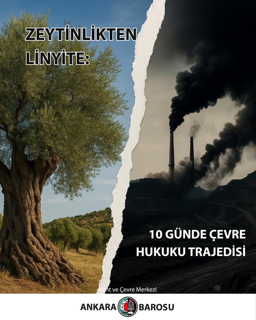 Ankara Barosu’ndan zeytinlikleri madencilik faaliyetlerine açan yasa için Cumhurbaşkanı Erdoğan’a çağrı: Yasayı TBMM’ye iade edin