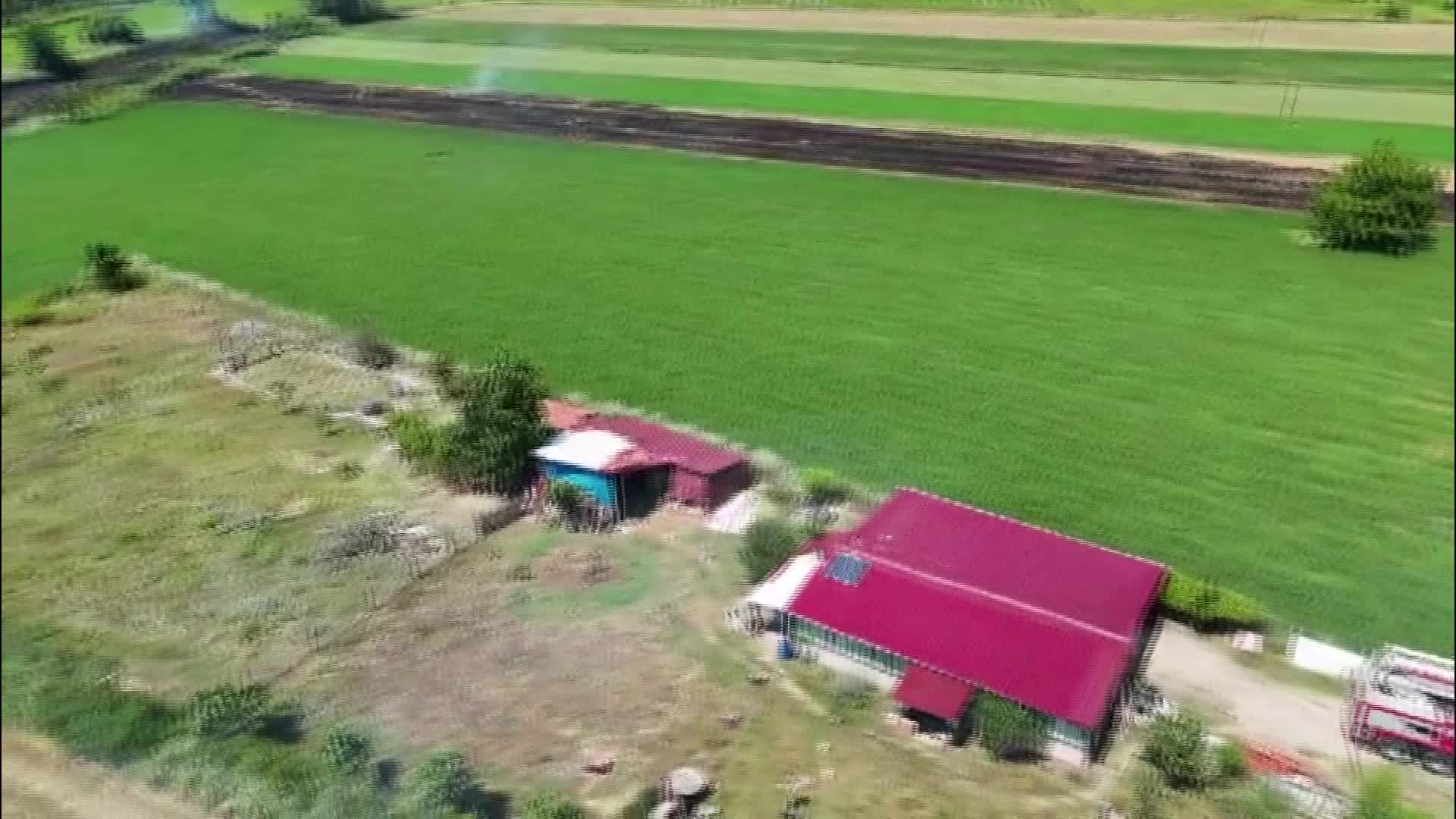 Sinop’ta anız yangını: Ekipler ormana sıçramadan söndürdü