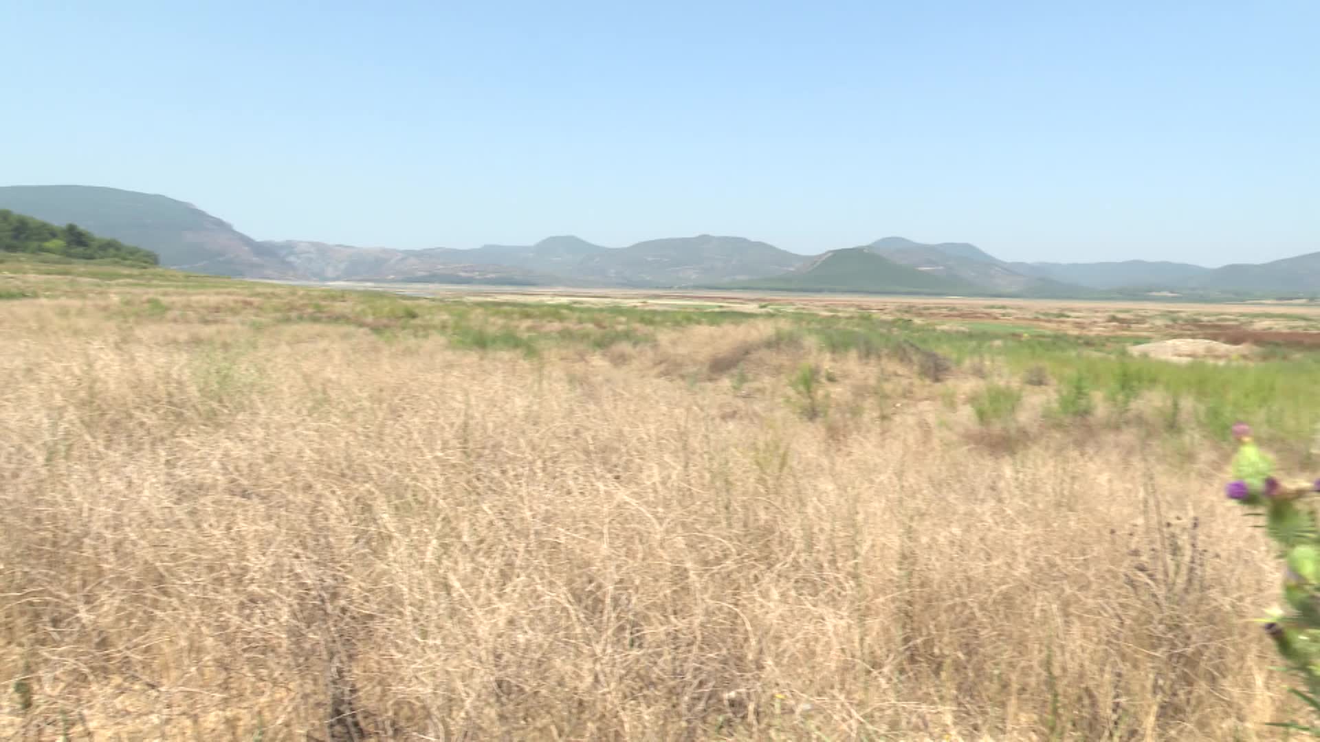 İzmir'deki barajlardaki doluluk oranı kritik seviyede