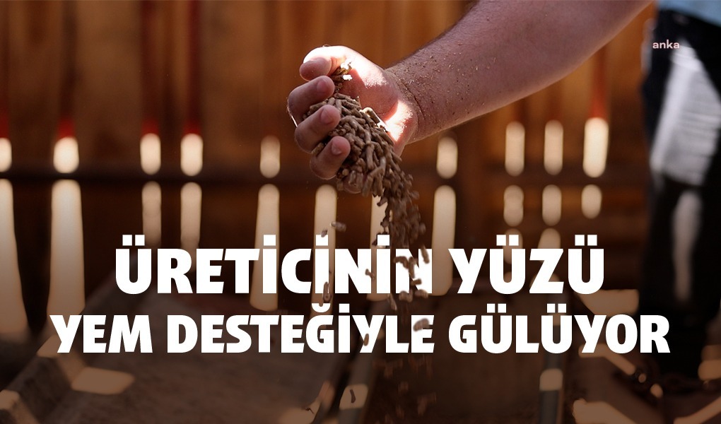 Tekirdağ'da üreticinin yüzü yem desteğiyle gülüyor