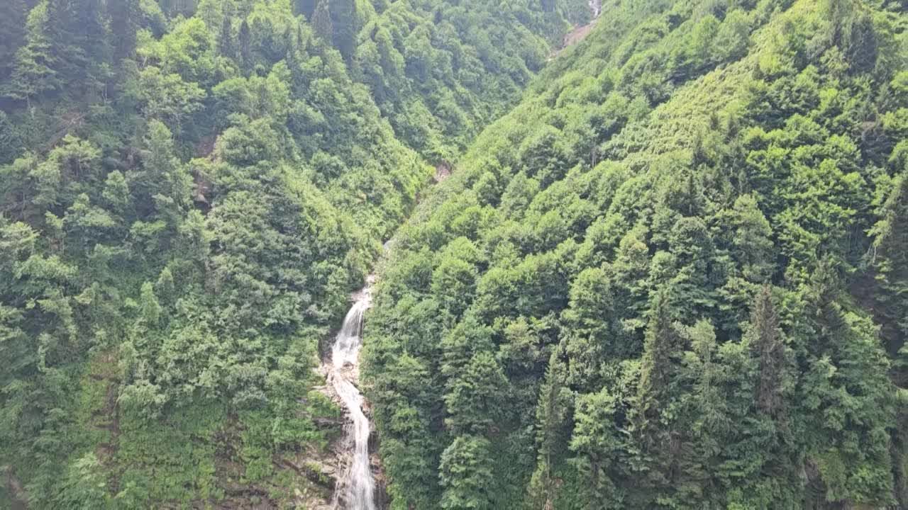 Çevreciler Aydın'dan Karadeniz'e seslendiler: "Havama, suyuma, toprağıma dokunma"