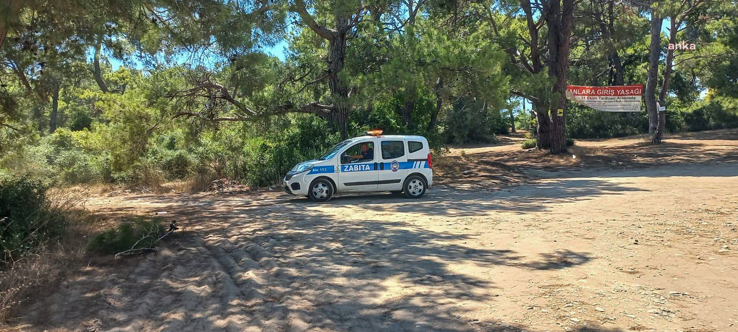 Manavgat Belediyesi'nden yangın riskine karşı yoğun denetim
