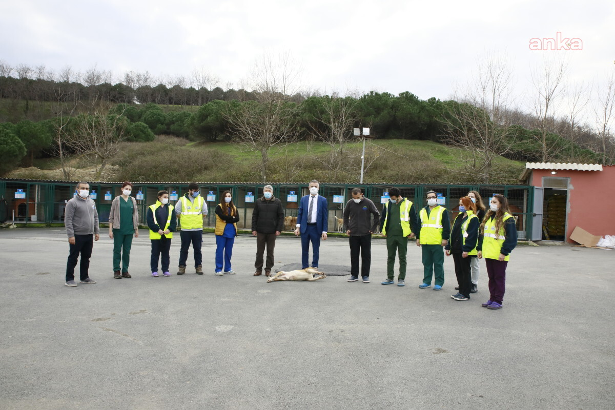 SARIYER'DE HER ŞEY PATİLİ DOSTLAR İÇİN