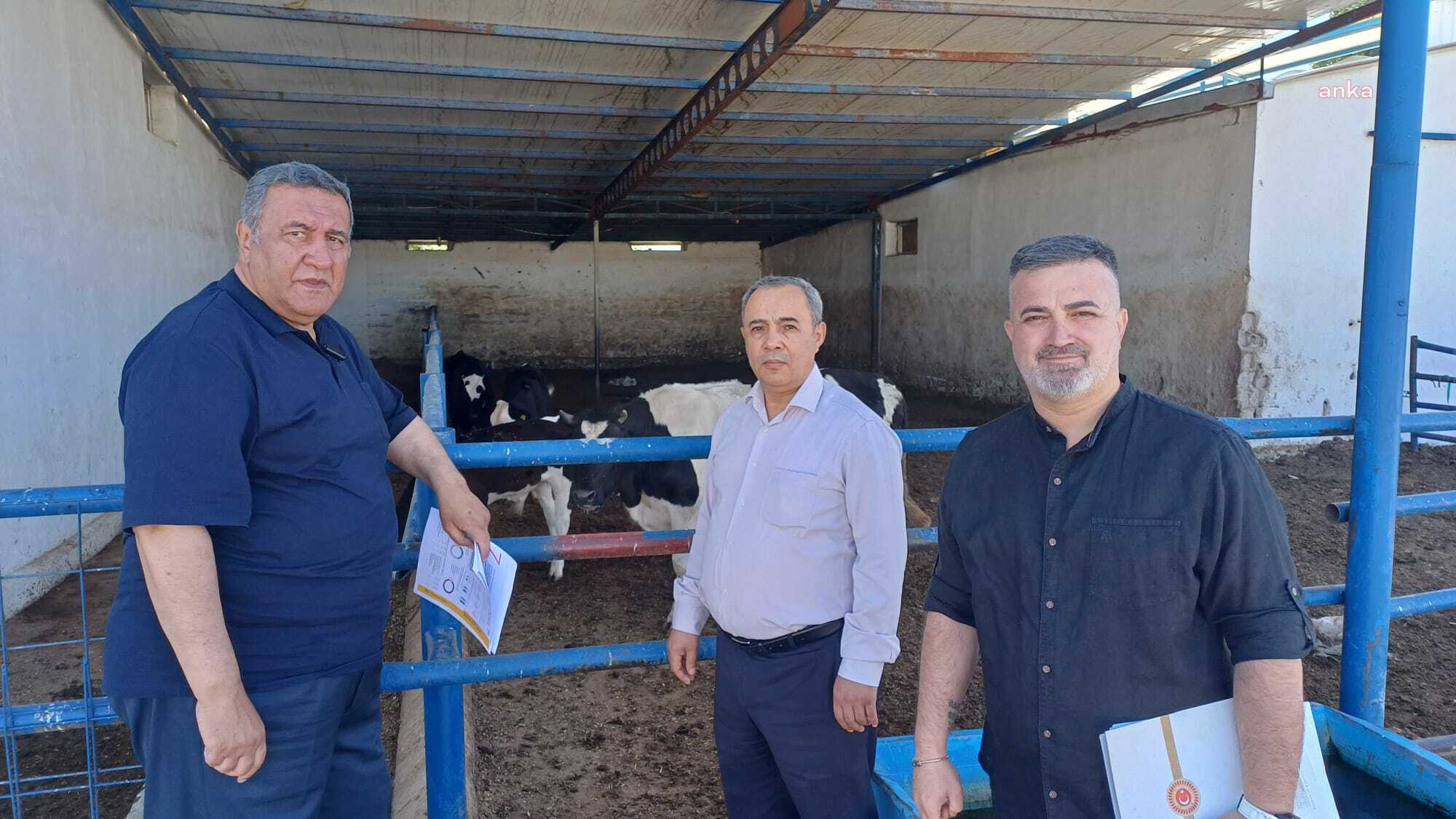 Ömer Fethi Gürer, Niğde'de besicilik yapan vatandaşın sorunlarını dinledi: Hayvancılık yapanlar desteklenmeli