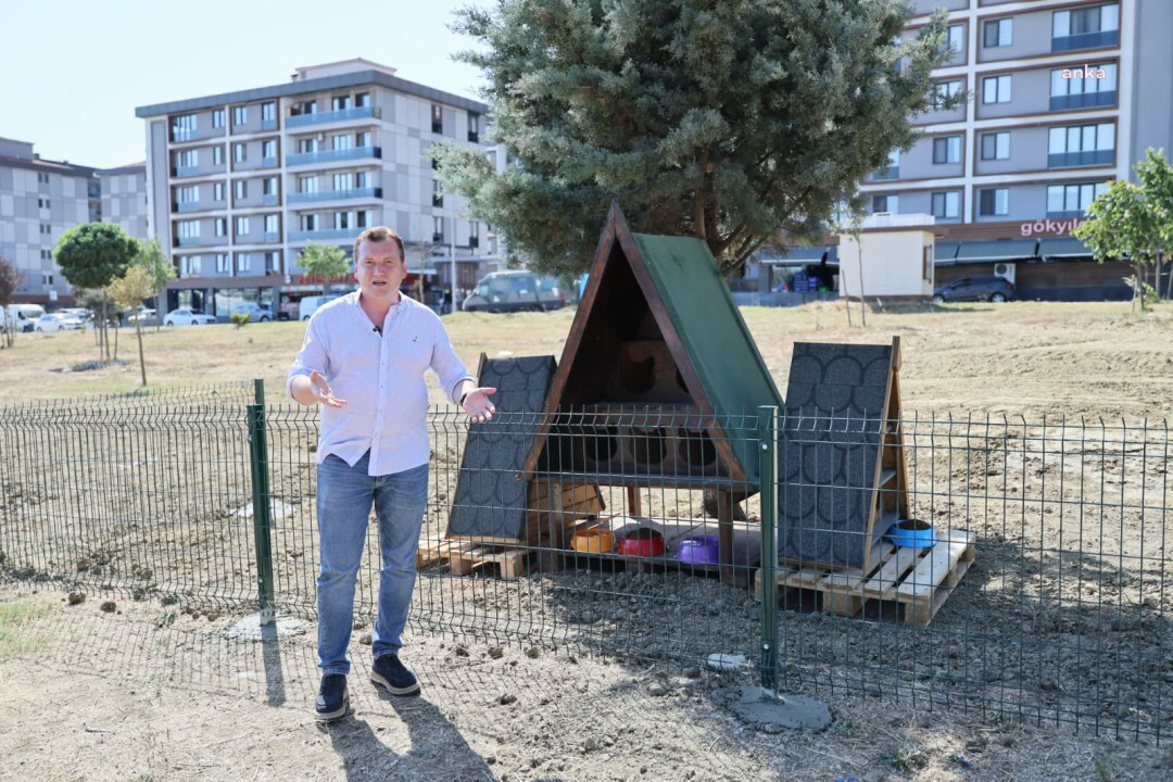 Silivri Belediyesi’nden sokak kedilerine yeni nesil yuva