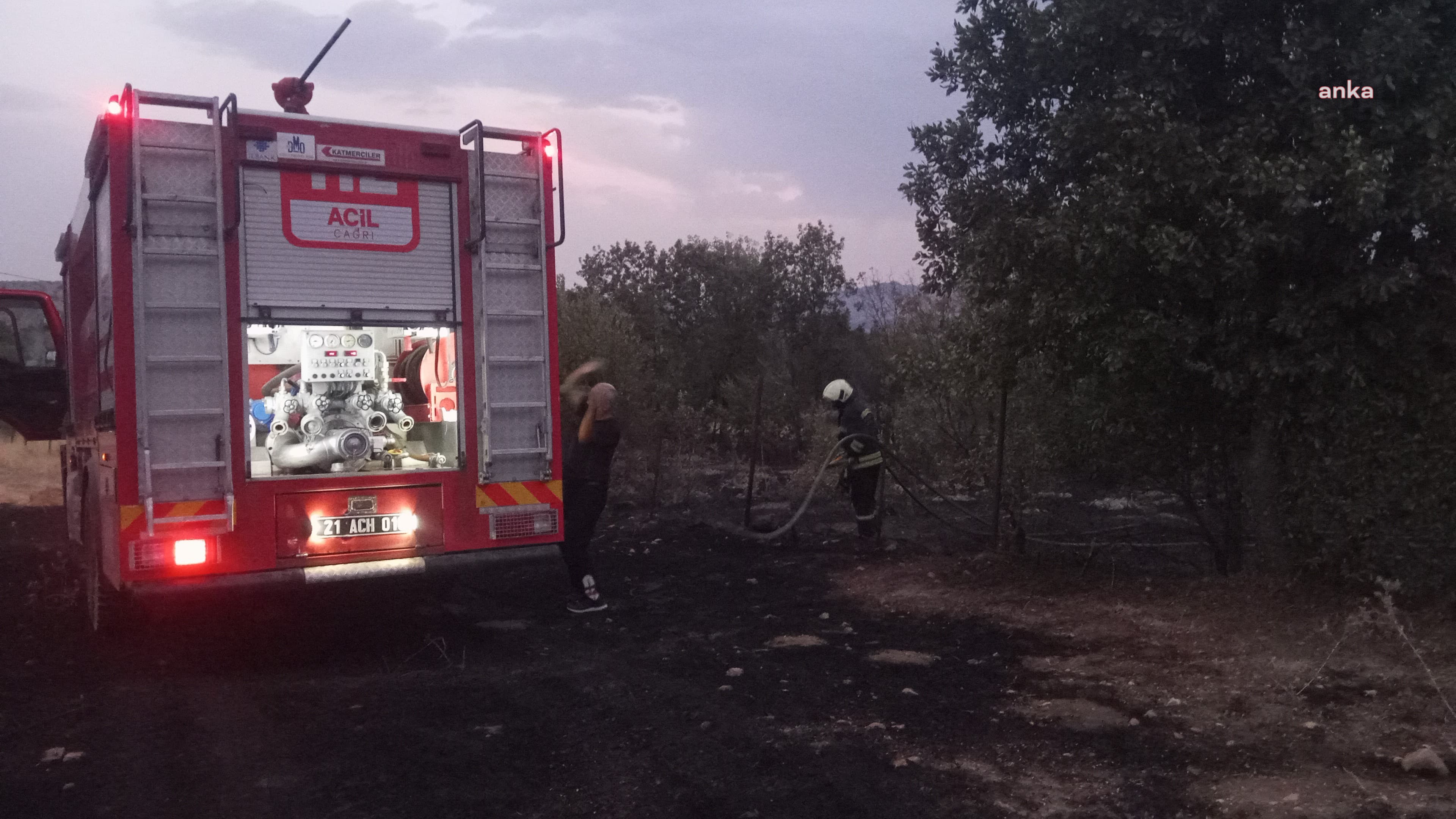 Diyarbakır’da ormanlık alanda çıkan yangında 35 hektarlık alan etkilendi