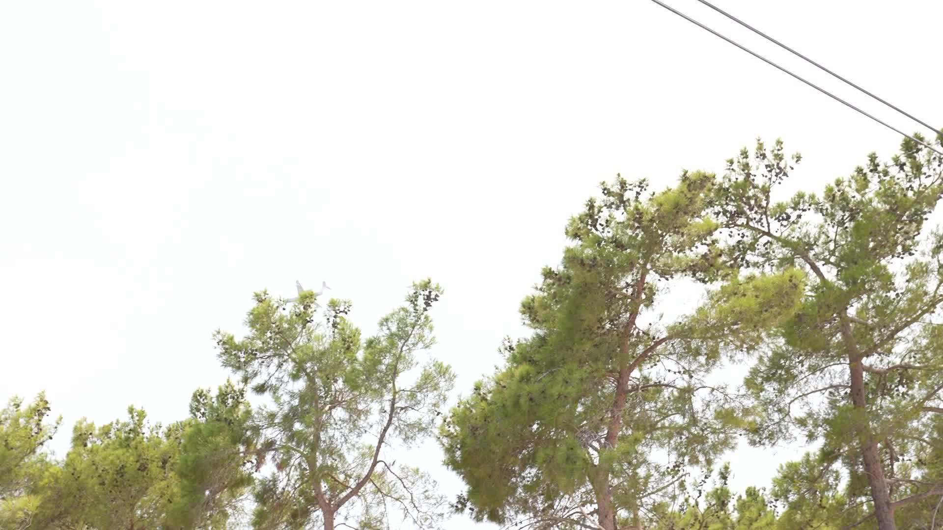 Mersin İtfaiyesi, Silifke'deki yangında dört vatandaşı ve 270 hayvanı kurtardı